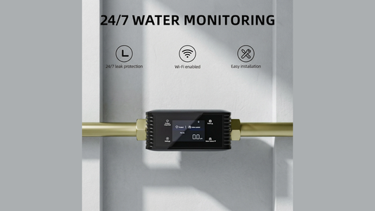 Smart Whole House Water Leak Detector with Auto Shut-Off Valve
