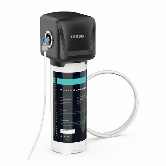 Post-filtru de remineralizare alcalină pentru sisteme de osmoză inversă – Reface pH-ul &  Minerale, Schimbare rapidă, Supliment pentru sub chiuvetă, 1/4" Conectare rapidă